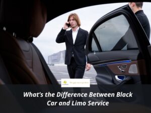 whats the difference between black car and limo service